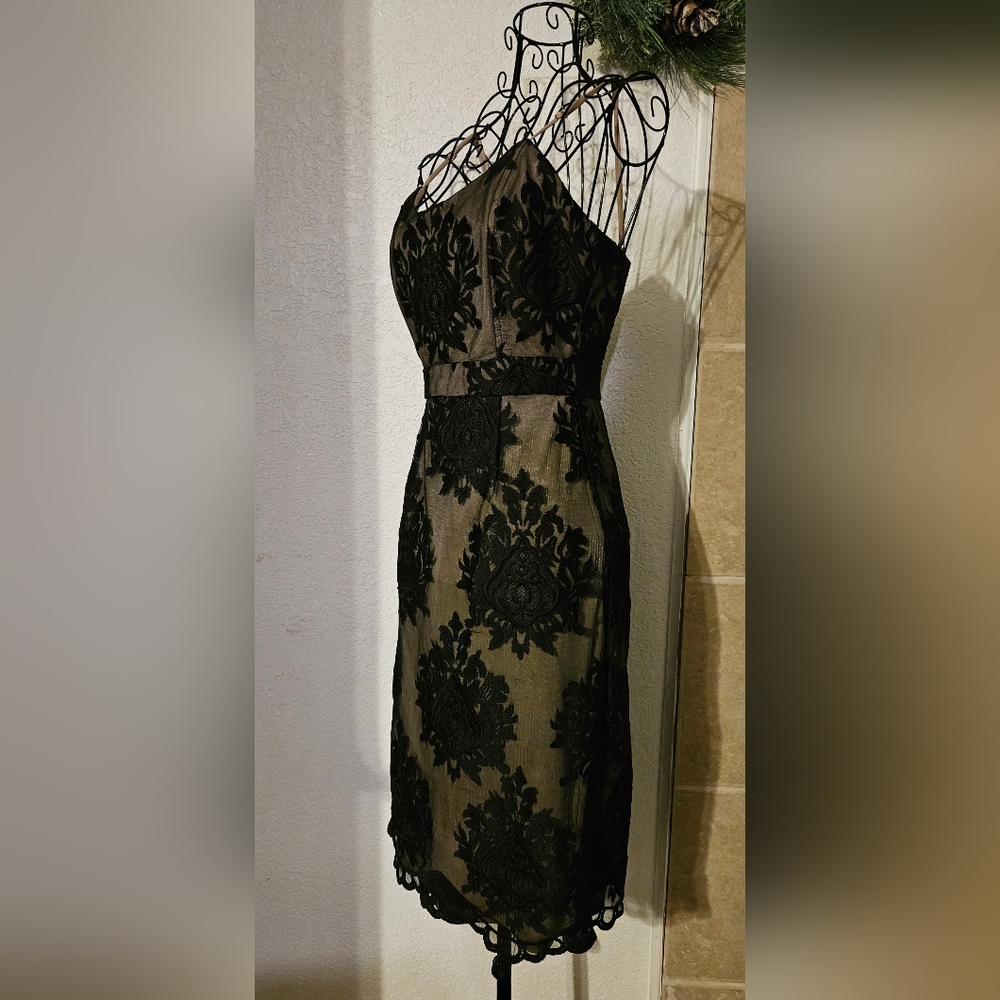 Forever 21 Black Lace and Mesh Cocktail Dress